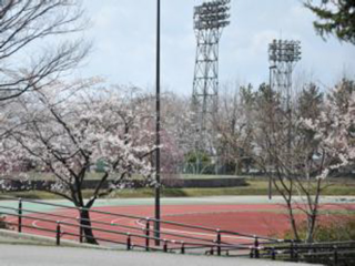 入善町中央公園