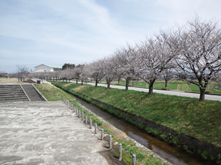 京坪川河川公園