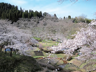城山公園