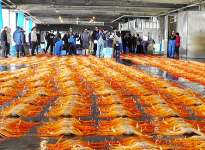 Shinminato Fishing Port